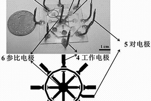 用于檢測細菌的陣列式多重電化學恒溫擴增芯片及其制備方法