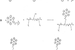 基于聚合物电化学发光信号放大的核酸检测方法