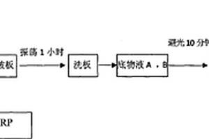 透明質酸一步法化學發光定量檢測試劑盒