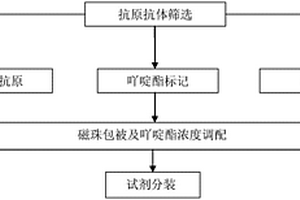 檢測巨細胞病毒IgG抗體化學發光免疫分析測定試劑盒及其制備方法