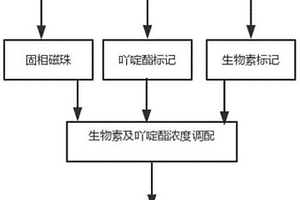 檢測人生長激素化學發光免疫分析測定試劑盒及其制備方法