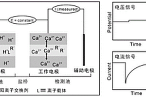 基于離子遷移放大效應的聚合物敏感膜的高精度電化學檢測方法
