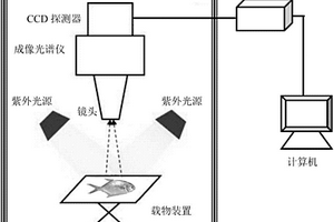 水產品化學污染物的無損實時檢測方法與裝置