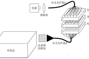 基于光纖陣列的微化學反應器陣列實時光譜檢測系統和方法