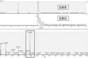 基于化學蛋白質組學的激酶富集檢測方法