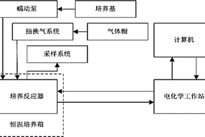 用于連續培養、采樣與實時檢測的微生物電化學系統
