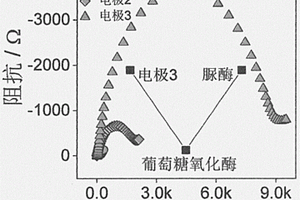 檢測葡萄糖氧化酶及脲酶的電化學生物傳感新方法及其應用