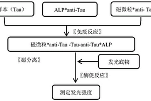 用于檢測Tau蛋白(TAU)的磁微粒分離化學發光免疫測定法