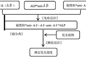 用于檢測β淀粉樣蛋白(Aβ)的磁微粒分離化學發光免疫測定法