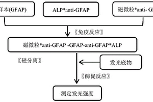 用于檢測膠質纖維酸性蛋白(GFAP)的磁微粒分離化學發光免疫測定法