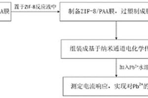 基于納米通道電化學傳感器的鉛離子檢測方法