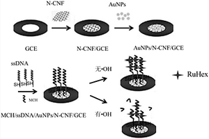 用于羥自由基檢測的N-CNF/AuNPs基電化學生物傳感方法