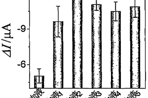 基于具有電催化活性的類蛋白質納米線構建電化學生物傳感器用于過氧化氫及葡萄糖檢測