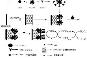 用于檢測青霉素的電化學生物傳感器及其制備方法和應用