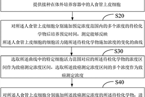 化學物誘發人食管癌的體外檢測模型的建立方法