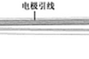 用于動物腦內多巴胺濃度檢測微型電化學傳感器制備