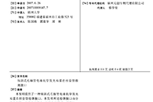 傾斜式毛細管電泳化學發光雙重在柱套管檢測接口