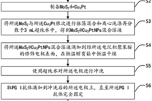 PGⅠ蛋白檢測的電化學免疫傳感器及其制備方法與應用