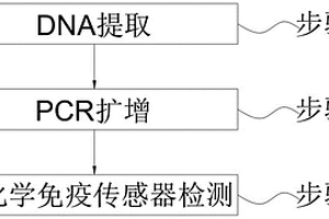 電化學免疫用DNA甲基化特異性檢測方法