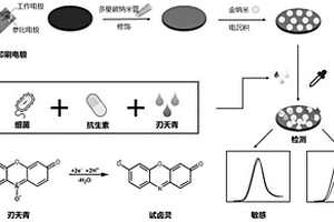 細菌耐藥性電化學檢測方法