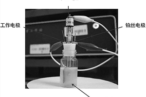 檢測水體毒性的雙信號生物電化學方法