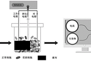 基于懸浮態電化學活性微生物實現水質毒性快速檢測的方法