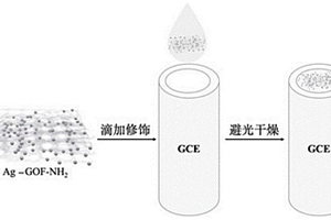 用于檢測氯離子的電化學傳感器電極及其制備方法和應用