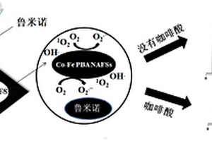 基于紙基質的魯米諾化學發光體系及檢測酚類抗氧化劑的方法
