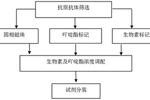 異常凝血酶原化學發光免疫檢測試劑盒及其制備方法
