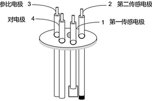 用于液體環境中二氧化碳檢測的電化學傳感器及其制備方法