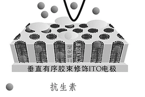 基于垂直有序膠束富集的電化學檢測牛奶中抗生素的方法