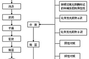 呋喃妥因化學發光檢測試劑盒