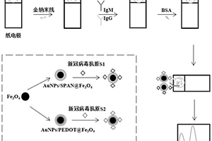電化學免疫檢測新型冠狀病毒試劑盒的制備方法和產品及其使用方法
