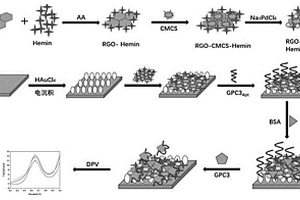 基于RGO-CMCS-Hemin/Pd NPs電化學傳感器檢測GPC3的方法