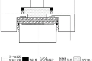 電化學原位在線檢測裝置及其使用方法