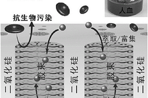人血中抗生素含量的電化學檢測方法