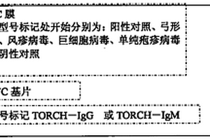 干化學法TORCH檢測試劑盒及其制造方法