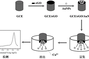 利用納米金-石墨烯復合電極檢測Cu<sup>2+</sup>的電化學方法