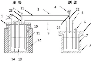 電化學檢測裝置及其處理方法和用途