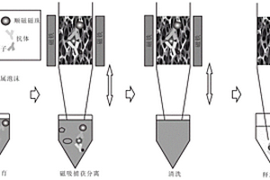 PD-L1外泌體的磁免疫化學發光檢測方法