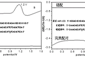 檢測核酸的電化學方法