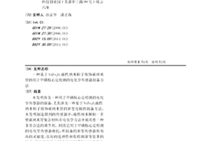 基于NiFe2O4磁性納米粒子修飾碳納米管的用于甲磺胺心定檢測的電化學傳感器制備方法