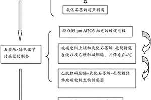 石墨烯/酶電化學生物傳感器的制備及對有機磷農藥殘留的檢測