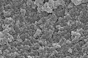喹諾酮類藥物的廣譜特異性分子印跡聚合物、化學發光試劑盒及檢測方法和應用