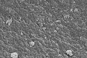 β<sub>2</sub>-受體興奮劑的廣譜特異性分子印跡聚合物、化學發光試劑盒及檢測方法和應用