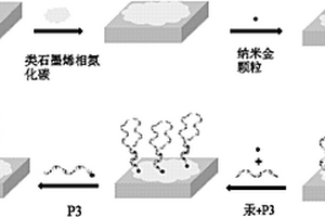 用于檢測汞的電化學傳感器及其制備方法和應用