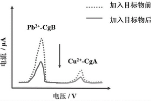 同時檢測兩種神經內分泌腫瘤標志物的電化學免疫傳感器