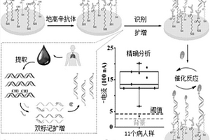 基于雙標記擴增的血漿循環甲基化DNA電化學檢測方法及試劑盒