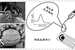基于電化學傳感技術的中華絨螯蟹活體中鎘元素的檢測方法