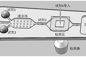 均相化學發光微流控芯片及其檢測方法